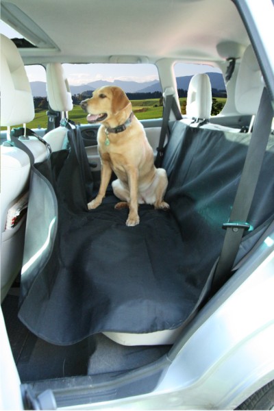 (image for) Back Seat Sling